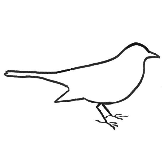 outline of a bird