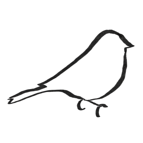 outline of a bird