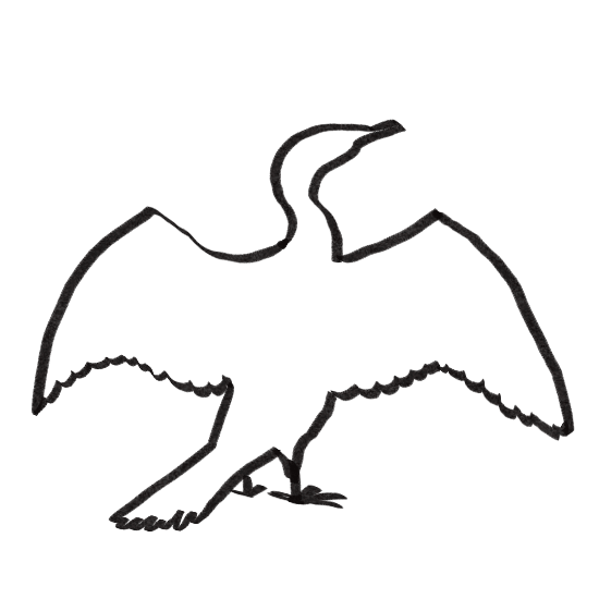 outline of a bird with wide wings