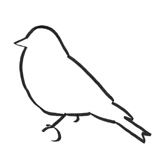 outline of a bird